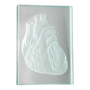 Engraved Anatomical Heart Model Crystal Art Glass Decor Paperweight