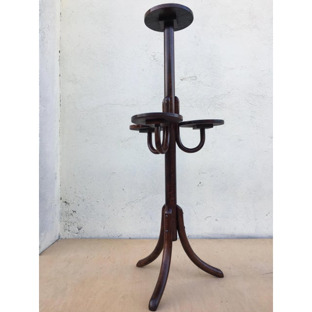 Bentwood Flower Bed from Thonet, 1940s For Sale - Image 18 of 18