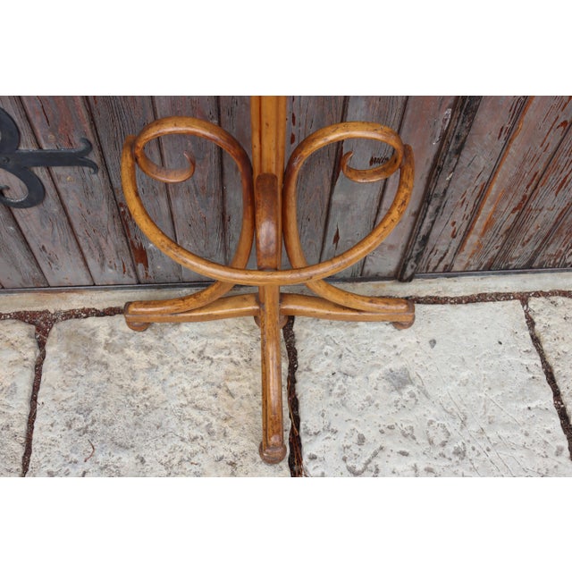 Wall-Mounted Coat Rack from Jacob & Josef Kohn, 1898 For Sale - Image 12 of 14