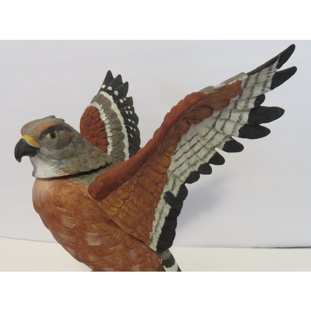 Burnt Orange 1973 Limited Edition Red Shouldered Hawk 4/5 Qt Straight Bourbon Whiskey Euc For Sale - Image 8 of 9