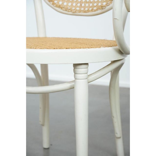 Vintage White Curved Wood Bistro Arcmhair For Sale - Image 11 of 18