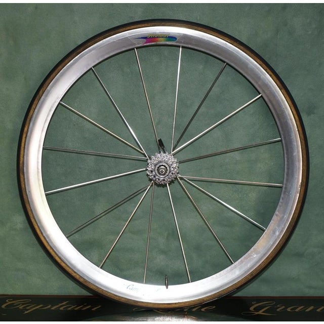 Vintage campagnolo shamal 12 hpw wheels circa 1996/97 with campagnolo record hubs and 8 speed cassette a very nice...