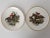 English Set of 2 - Mid-Century Bone China Plates in Equestrian Fox Hunting Scenes - Made in England For Sale - Image 3 of 12
