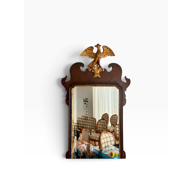 1930s Antique Regency Style Burl Walnut & Giltwood Eagle Mirror For Sale - Image 5 of 8