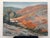 Beautiful original vintage 1970s Central California foothill landscape, wildflowers in the spring (1979). Roughly 2ft wide...