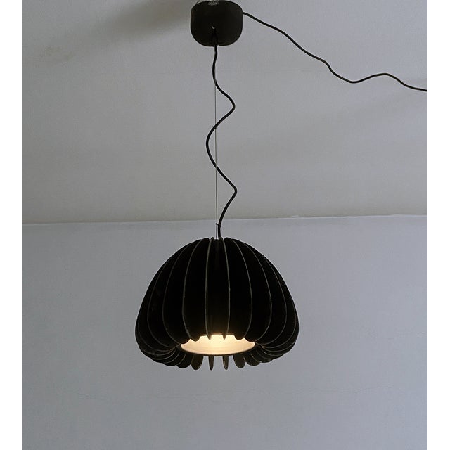 Mariposa Hanging Light by Gigi and Pepe Tanzi for Dalca, 1970 For Sale - Image 4 of 8