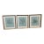 Soicher Marin Gallery Blue Ocean Coral Prints, Set of Three For Sale