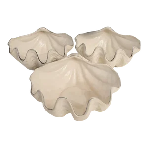 Coastal Regency Off White Grey Clam Shell Serving Bowls Set 3