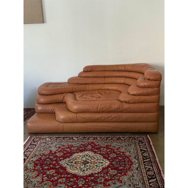De Sede Attributed to Ubald Klug Ds-1025 "Terrazza" Sofa for De Sede, 1970s For Sale - Image 4 of 6