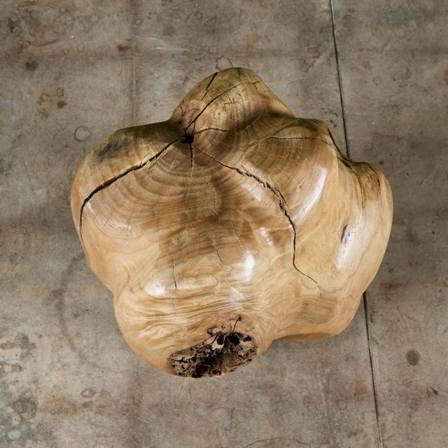 Biomorphic Wood Sculpture For Sale - Image 12 of 12