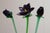 Mid 20th Century Vintage Murano. Amethyst Vase W/Emerald Vine Wrap Around Vase, With Matching Flowers For Sale - Image 5 of 12