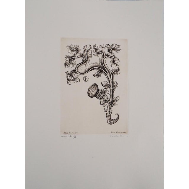 Cécile Reims, Bloom, 20th Century, Etching For Sale - Image 7 of 7