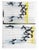 Sergio Barletta, Fotofinish Edition of 260, 2008, Lithograph For Sale