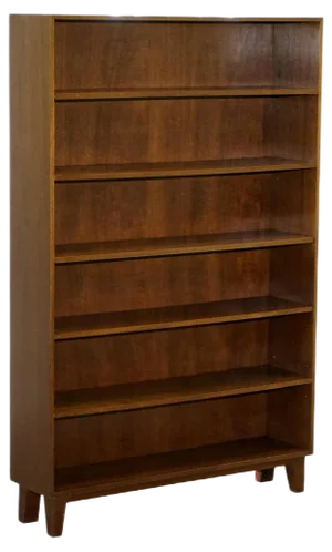 Mid-Century Modern Pattern Ring Oberflaf Treatment Bookcase