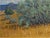 Green Fred Darge Green, Yellow, and Blue Abstract Impressionist Western Desert Landscape, Mid-20th Century For Sale - Image 8 of 12