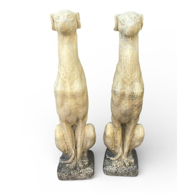 Pair of Cast Stone Seated Greyhound Garden Statues For Sale In West Palm - Image 6 of 9