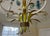 1970s Italian Mid-Century Tole Five Light Chandelier With Gathered Blue Flowers, Grasses and Wheat Stalks For Sale - Image 18 of 18