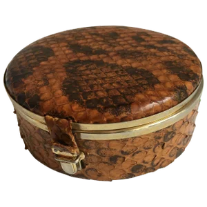 Round Snakeskin Box With Brass Detail and Closure