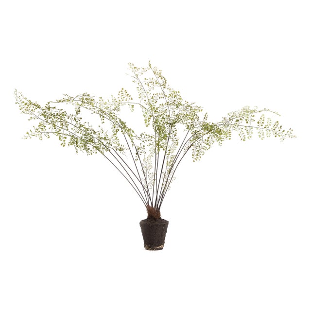 Maidenhair Drop-In 44" For Sale