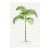 Vintage Palm Tree Illustration, Botanical Art Print Reproduction, 20" X 30" For Sale