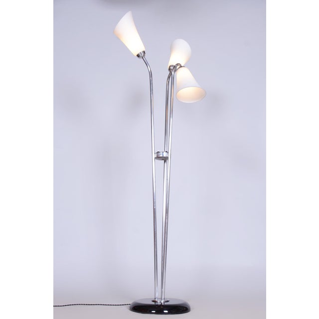 Czech Art Deco Floor Lamp in Chrome, Opal Glass and Lacquered Wood, 1930s For Sale - Image 10 of 15