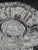 Vintage Clear Glass Rose Etched Vanity Trinket Dish- Scalloped Edges For Sale - Image 9 of 18