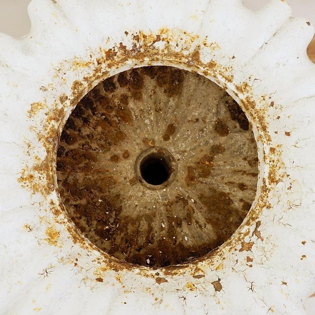 19th Century Cast Iron Basin with Lion Head Handles For Sale - Image 13 of 16