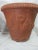 Garden Pots - Set of 2 For Sale - Image 4 of 13
