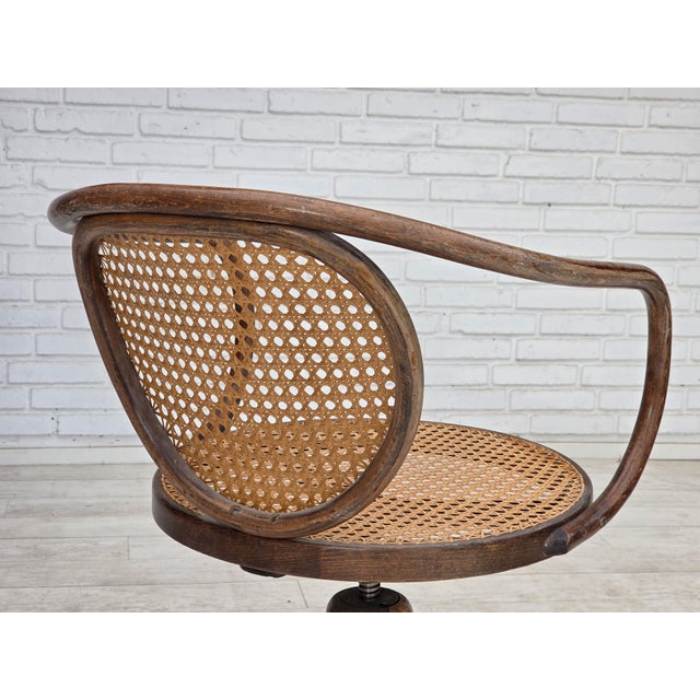 Swivel Armchair in Bentwood and Furniture Mesh, 1950s For Sale - Image 13 of 18