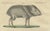 Bertuch, Malayan Tapir & Collared Peccary, 1815, Engraving For Sale - Image 4 of 9