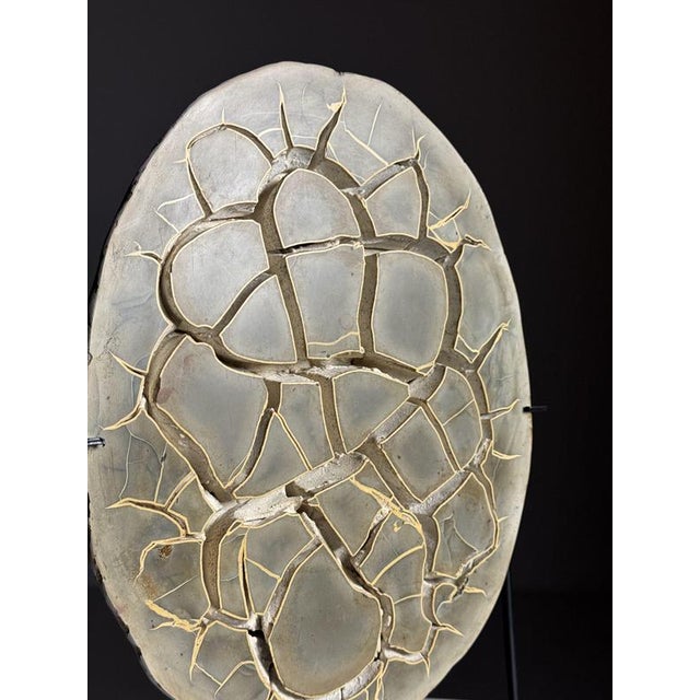 Septarian Nodule on Stand For Sale - Image 5 of 14