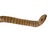 1980s Vintage Tribal Naturalistic Carved Lg Snake Papua New Guinea 31" W For Sale - Image 5 of 6