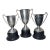 Antique 1930's Sterling Silver & Bronze Lyle Cup Engraved Speaking Trophy Award For Sale