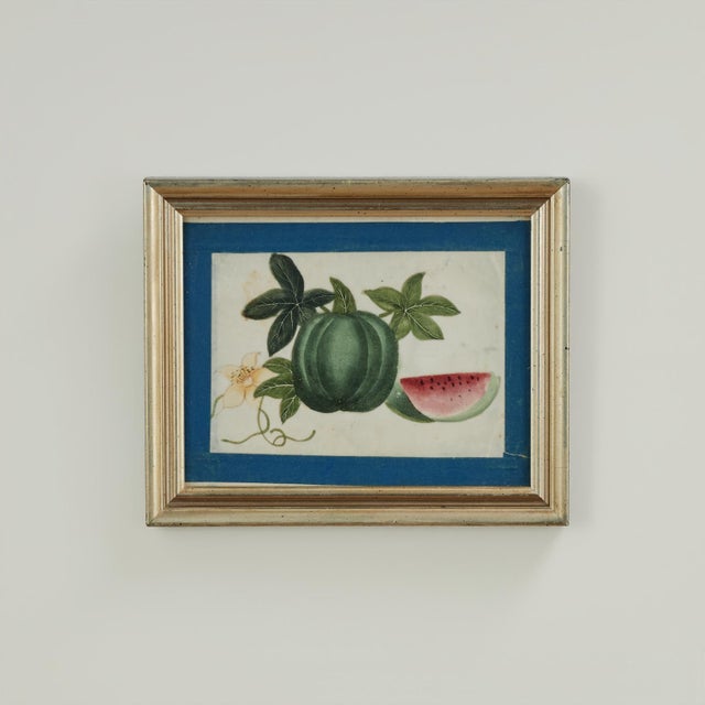 Set of Nine Antique Chinese Botanical Fruit Paintings on Pith Paper For Sale - Image 16 of 18