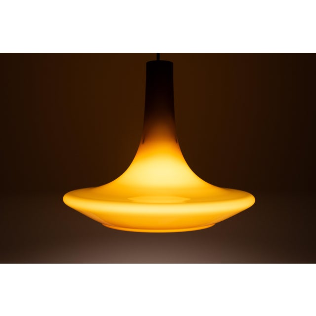 Large Amber Murano Glass Pendant Light by Peill & Putzler, Germany, 1970s For Sale - Image 9 of 10