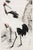 Japanese Cranes and Pine Tree, Vintage Japanese Art Print, 40" X 60" For Sale