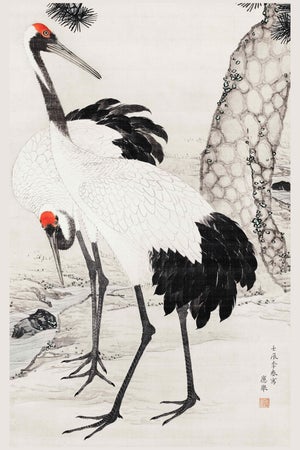 Japanese Cranes and Pine Tree, Vintage Japanese Art Print, 40" X 60"
