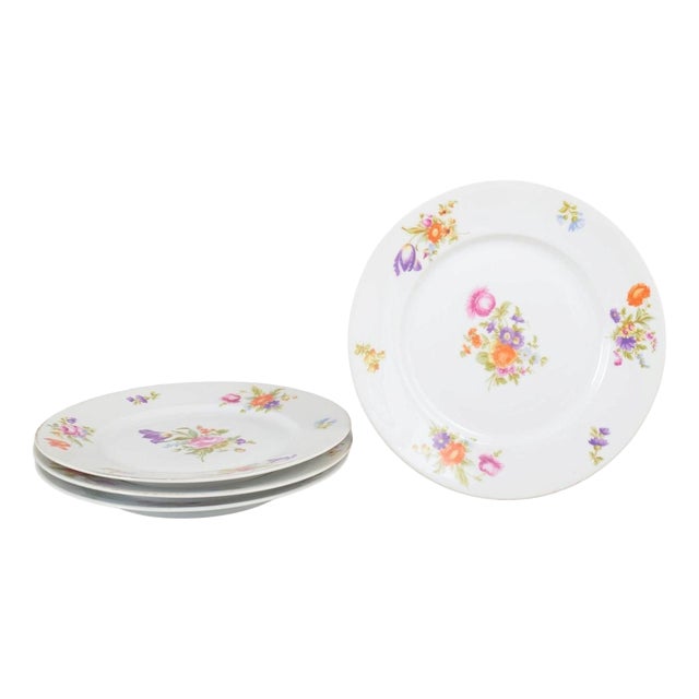 Porcelain Dinner Plates in Else Pattern from Rosenthal, 1930s, Set of 6 For Sale