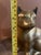 Brass Large Vintage Brass Cat Figurine For Sale - Image 8 of 10