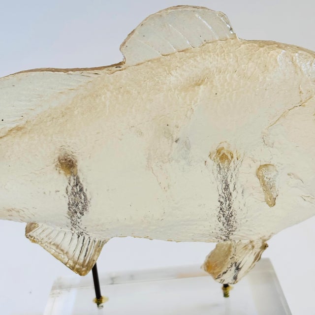 Vintage Acrylic Fish Sculpture For Sale In San Francisco - Image 6 of 11