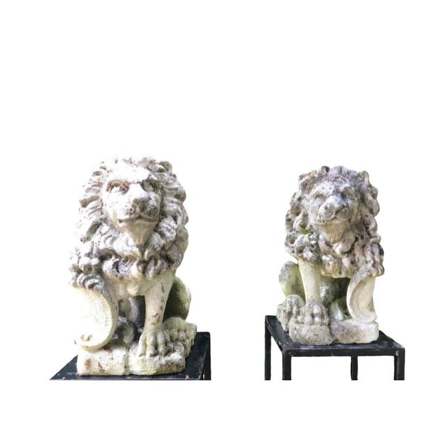 Stone Lions, 1950s, Set of 2 For Sale - Image 9 of 12