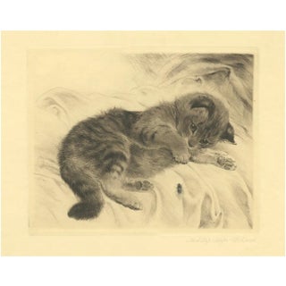After Kurt Meyer-Eberhardt, Kitten, 1977, Etching For Sale