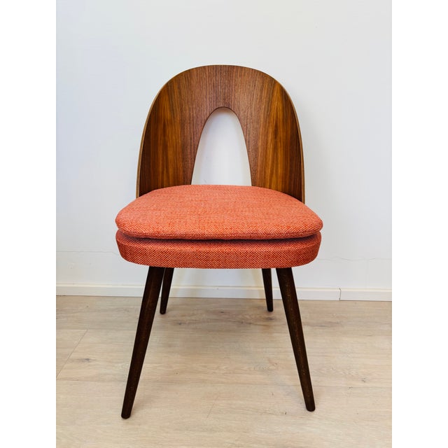 Mid-Century Dining Chair by Antonin Suman for Ton, Former Czechoslovakia, 1960s, in Restored conditions. Designed 1960 to...