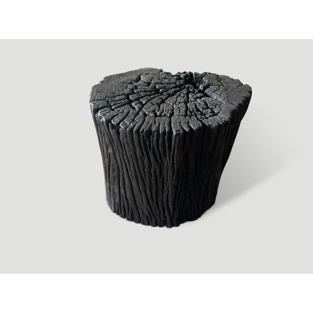 Andrianna Shamaris Iron Wood Charred Side Table or Stool For Sale - Image 4 of 5