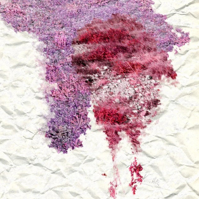 Abstract Gianfranco Pezzot Photograph, "IX: Genesi" For Sale - Image 3 of 4