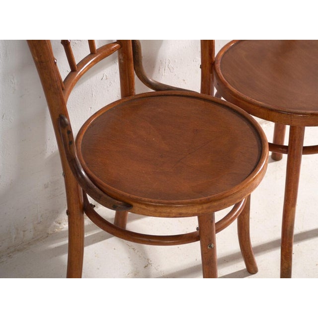 Bentwood Chairs in the style of Thonet, Central Europe, 1930, Set of 4 For Sale - Image 10 of 18