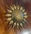 Early 20th Century French Starburst Flush Mount For Sale - Image 4 of 6