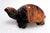 Vintage Hand-Carved Tigers Eye Miniature Turtle - Symbol of Tranquility and Steadfastness; Said to Teach You to Take Your Time and Enjoy Life For Sale - Image 4 of 18