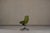 Leather Aston Office Chair from Arper, Italy, 2000s For Sale - Image 3 of 15