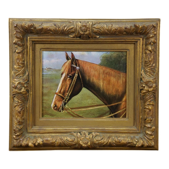 Vintage Equestrian Horse Print Portrait Realism Framed Sport Hunting 17" For Sale
